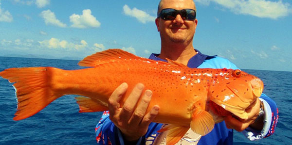 Cairns Reef Fishing