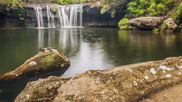 Carrington Falls