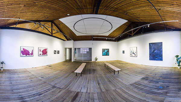 backwoods gallery