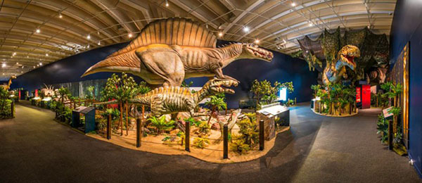 brisbane queensland museum