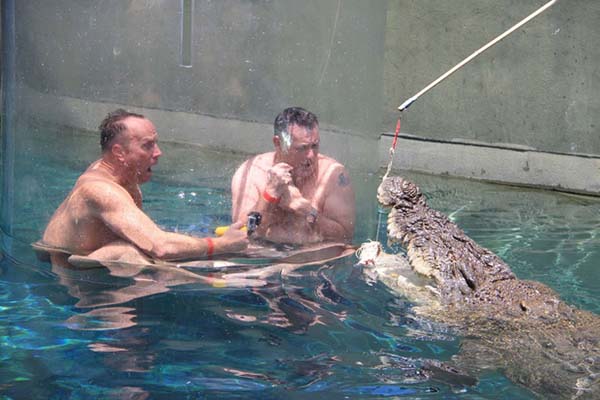 crocosaurus cove 2