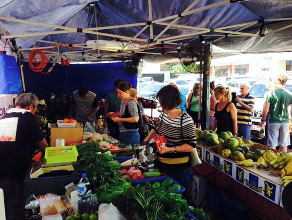 darwin markets