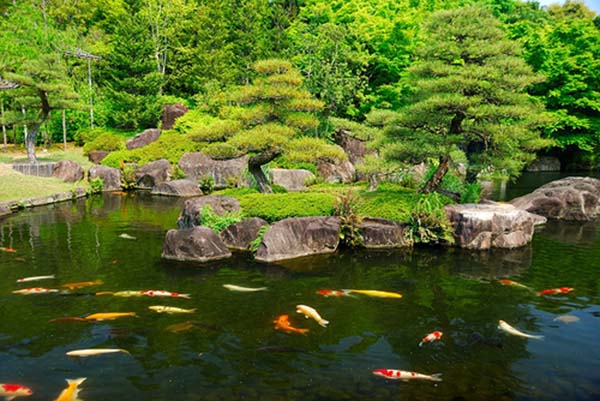 himeji garden 4