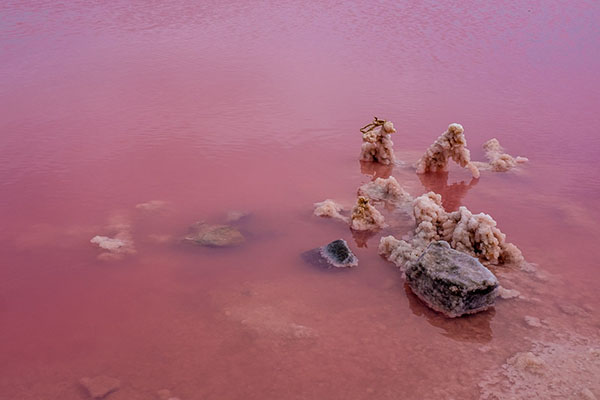 hutt lagoon