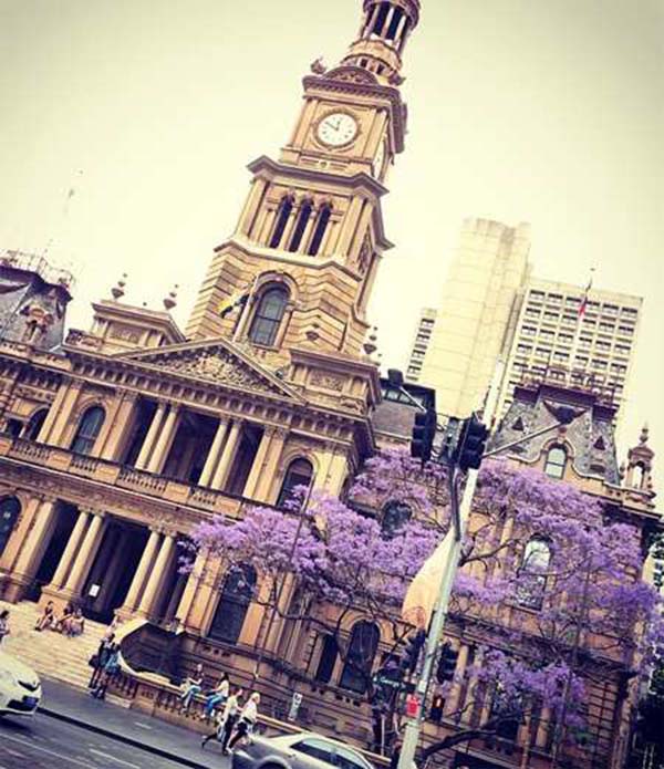 jacaranda 9