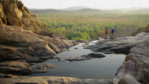 kakadu