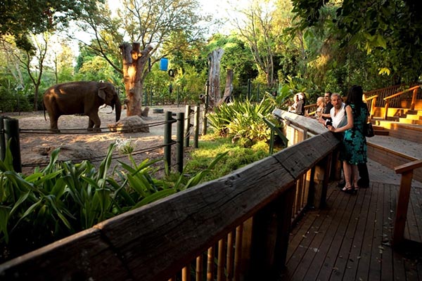 perth zoojpg