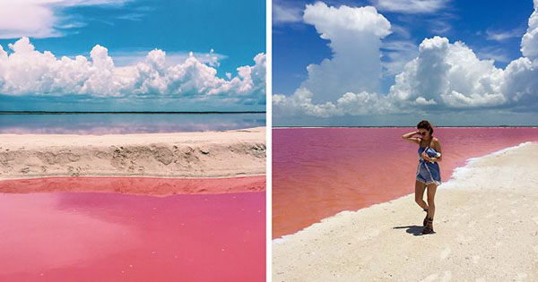 pink lagoon