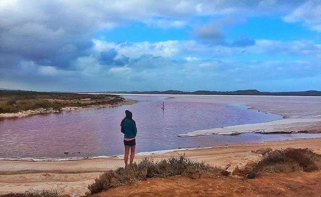 port gregory pink