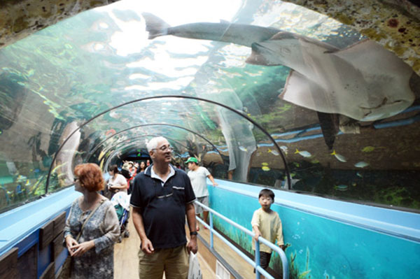 sea life sydney 4