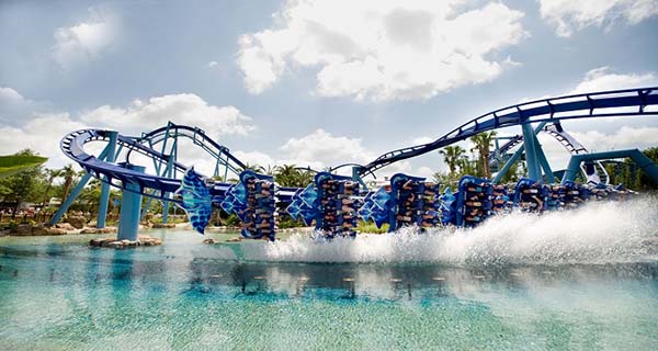 sea world australia