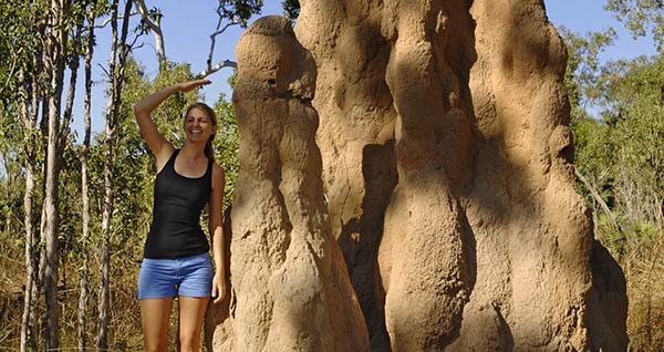 termite kakadu 3