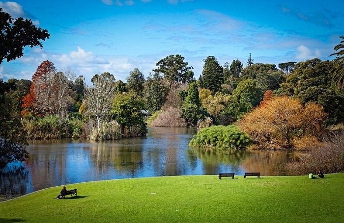 Vườn bách thảo hoàng gia Sydney đẹp nào lòng du khách